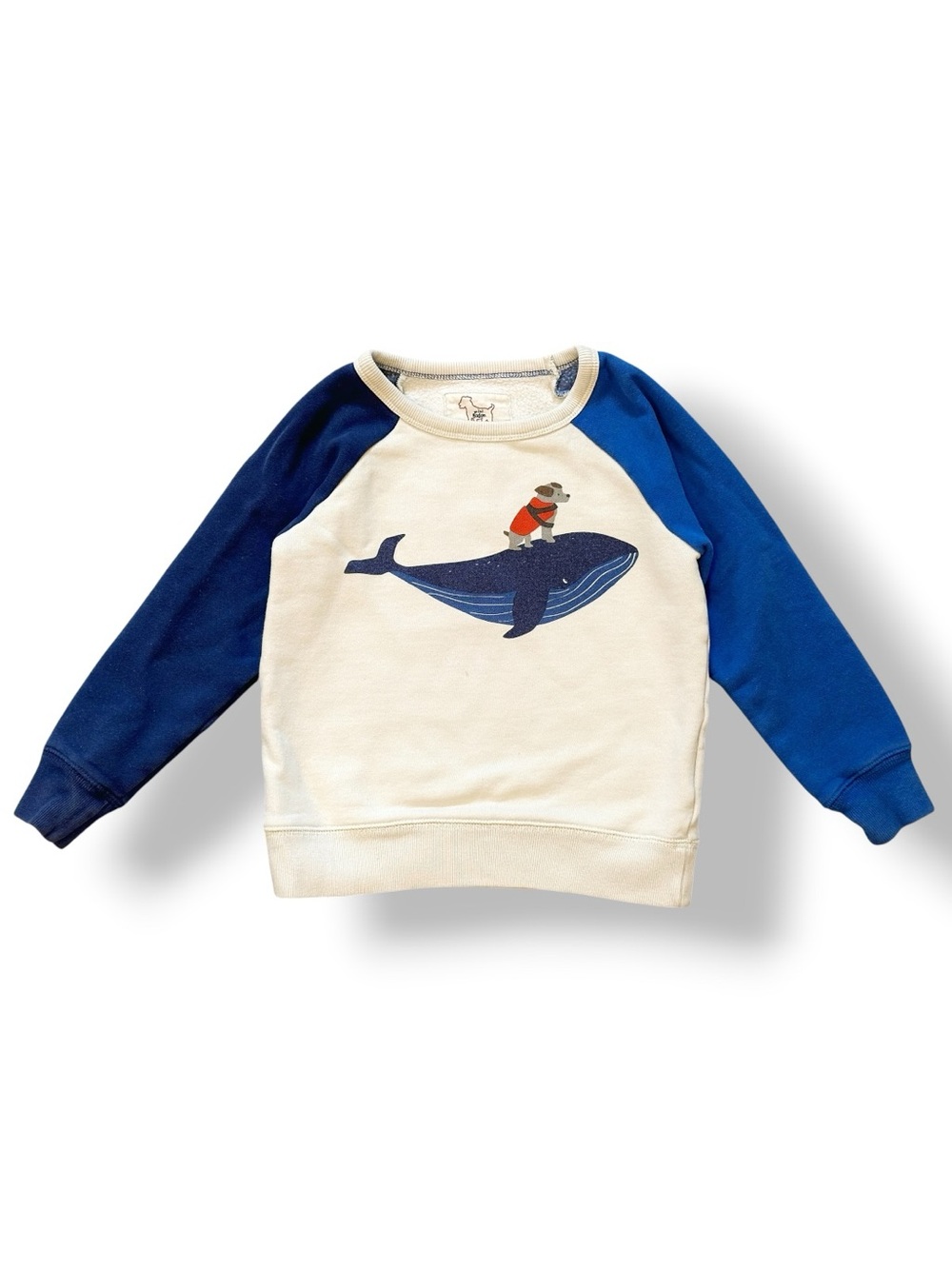 Mini Boden | Dog Riding Whale Colorblock Raglan Sweatshirt (4-5)